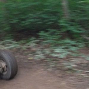 Meet your Posher, Austin